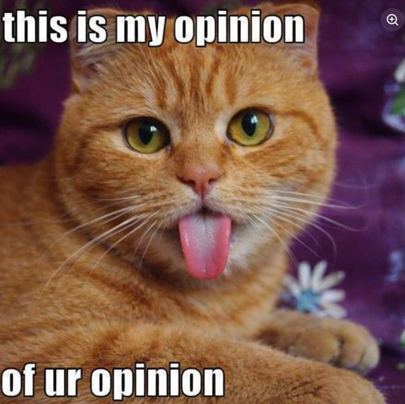 this is my opinion of ur opinion