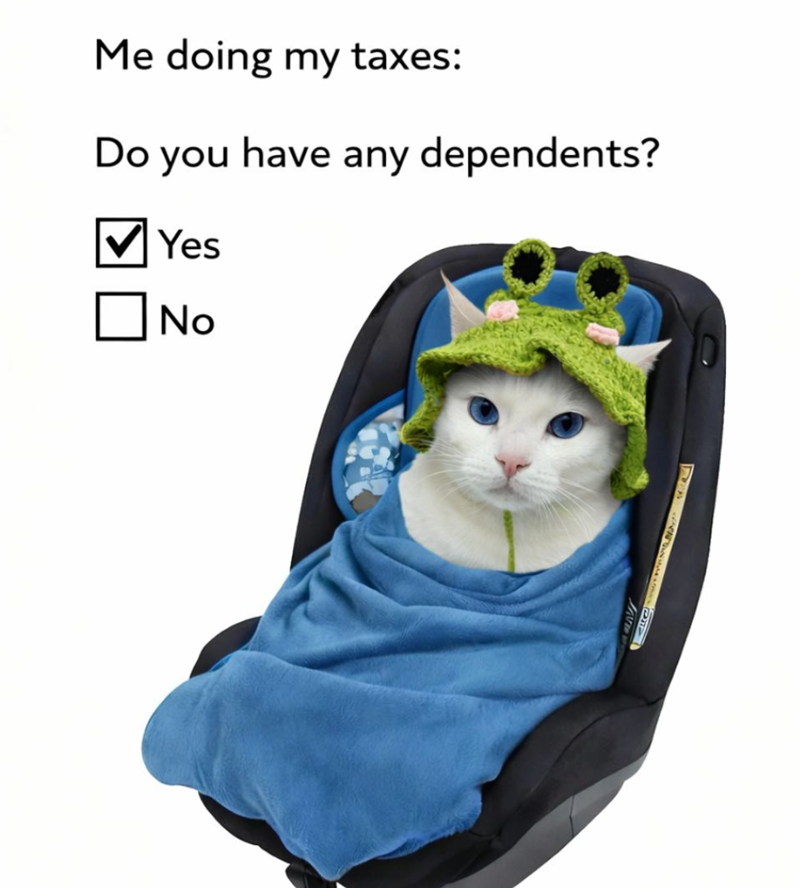 Me doing my taxes: Do you have any dependents? Yes No