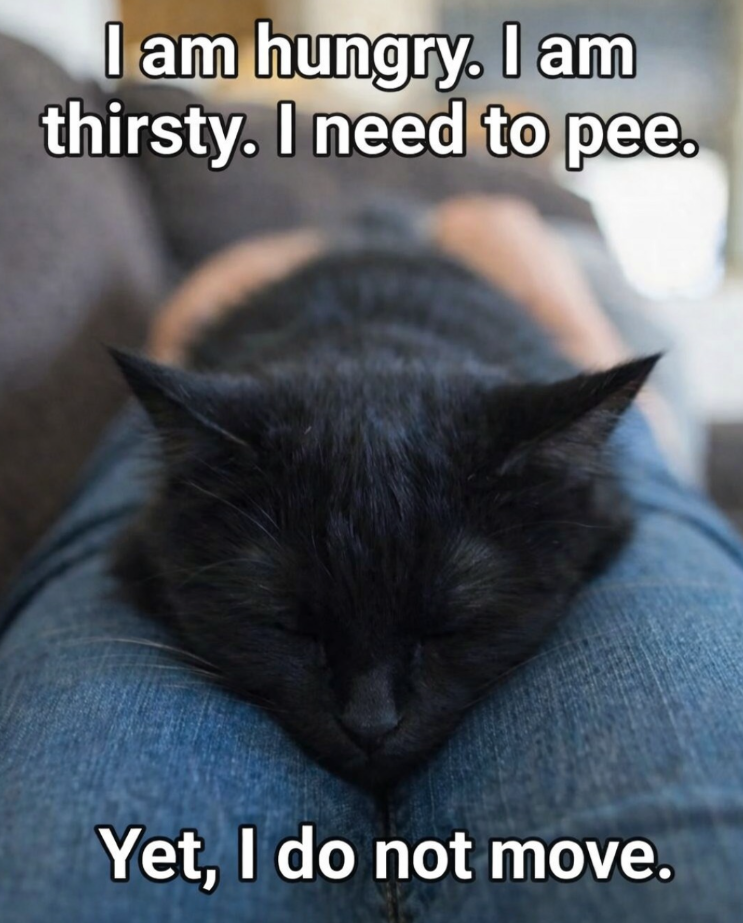 I am hungry. I am thirsty. I need to pee. Yet, I do not move.