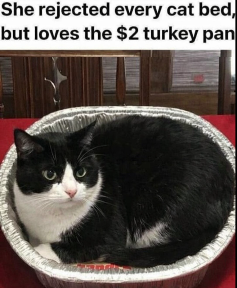 She rejected every cat bed, but loves the $2 turkey pan