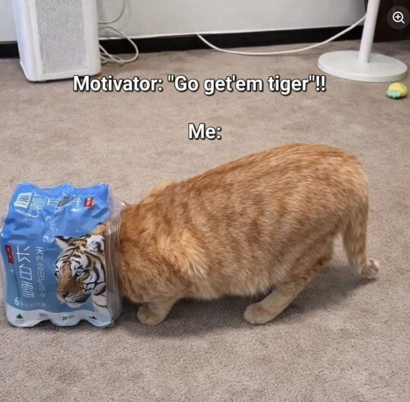 Motivator: "Go get'em tiger"!! Me: 长白雪 天然靈山矿进水 6