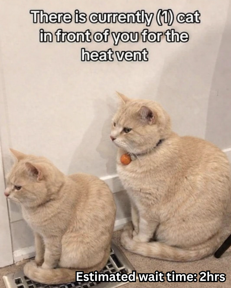 There is currently (1) cat in front of you for the heat vent Estimated wait time: 2hrs
