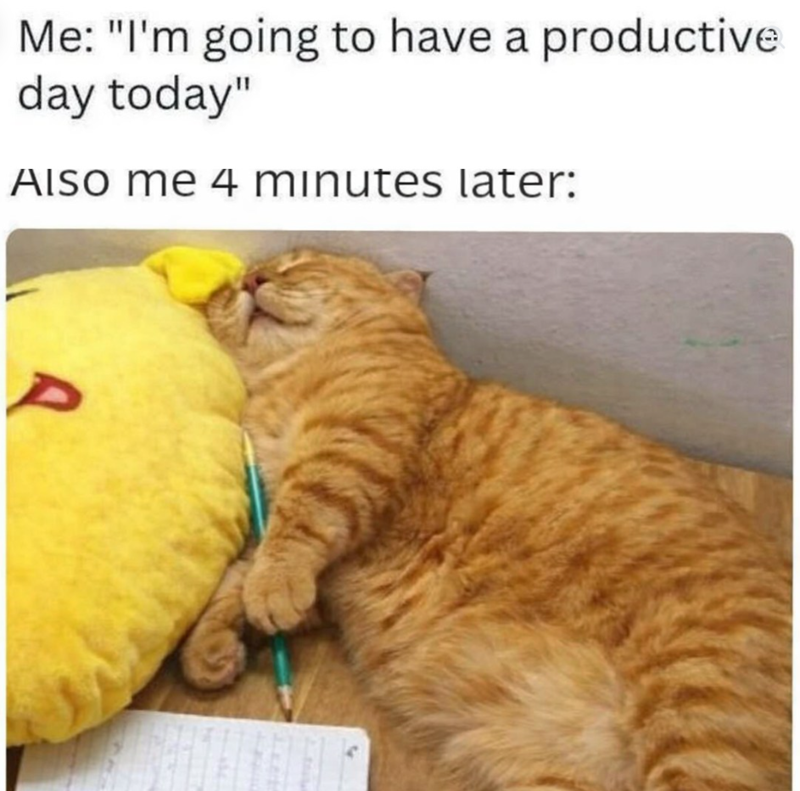 Me: "I'm going to have a productive day today" AISO me 4 minutes later: