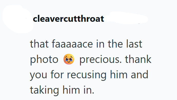 cleavercutthroat that faaaaace in the last photo precious. thank you for recusing him and taking him in.
