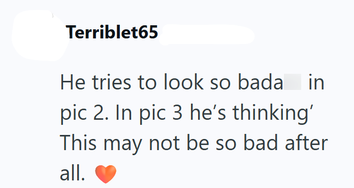 Terriblet65 He tries to look so bada in pic 2. In pic 3 he's thinking' This may not be so bad after all.