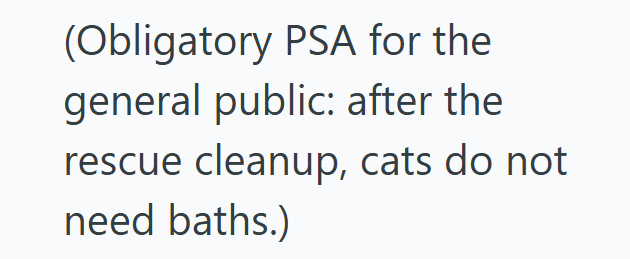 (Obligatory PSA for the general public: after the rescue cleanup, cats do not need baths.)