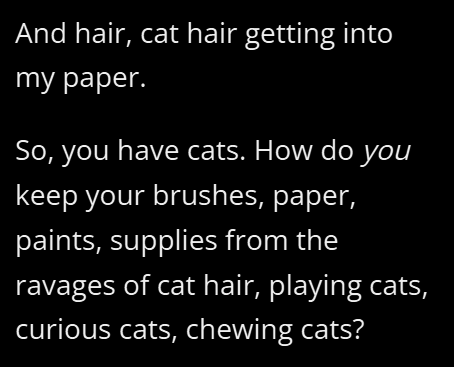 And hair, cat hair getting into my paper. So, you have cats. How do you keep your brushes, paper, paints, supplies from the ravages of cat hair, playing cats, curious cats, chewing cats?