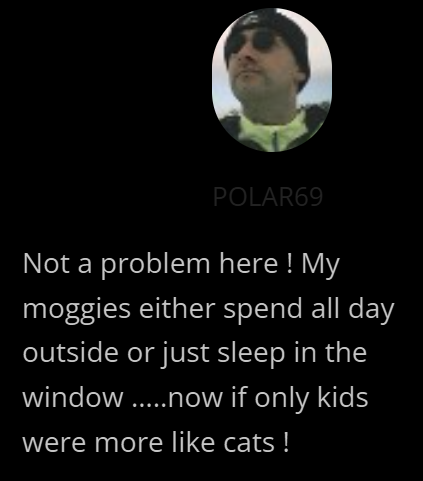 POLAR69 Not a problem here! My moggies either spend all day outside or just sleep in the window.....now if only kids were more like cats!