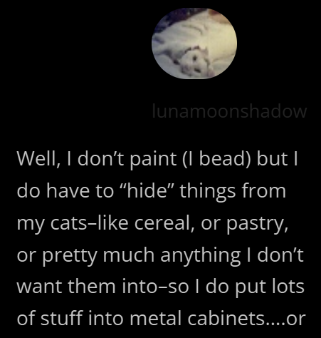 lunamoonshadow Well, I don't paint (I bead) but I do have to "hide" things from my cats-like cereal, or pastry, or pretty much anything I don't want them into-so I do put lots of stuff into metal cabinets....or