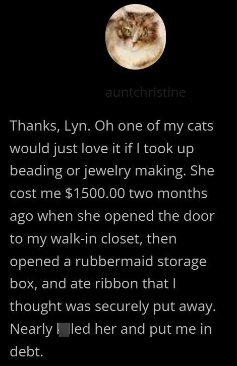 auntchristine Thanks, Lyn. Oh one of my cats would just love it if I took up beading or jewelry making. She cost me $1500.00 two months ago when she opened the door to my walk-in closet, then opened a rubbermaid storage box, and ate ribbon that I thought was securely put away. Nearly led her and put me in debt.