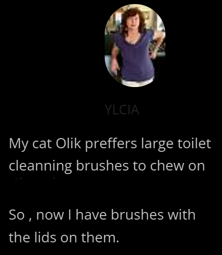 YLCIA My cat Olik preffers large toilet cleanning brushes to chew on So, now I have brushes with the lids on them.