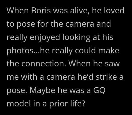 When Boris was alive, he loved to pose for the camera and really enjoyed looking at his photos...he really could make the connection. When he saw me with a camera he'd strike a pose. Maybe he was a GQ model in a prior life?