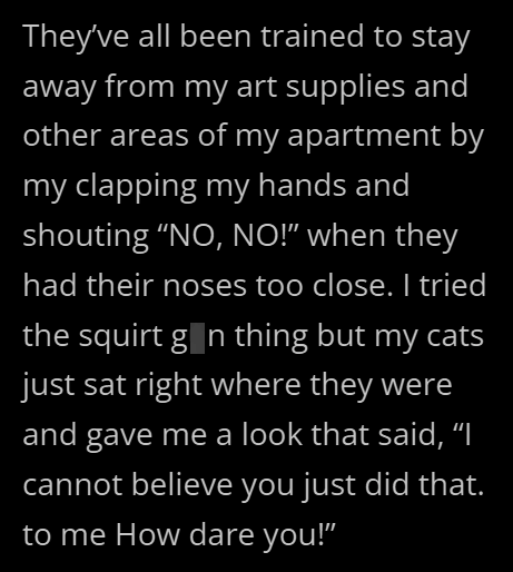 They've all been trained to stay away from my art supplies and other areas of my apartment by my clapping my hands and shouting "NO, NO!" when they had their noses too close. I tried the squirt gån thing but my cats just sat right where they were and gave me a look that said, “I cannot believe you just did that. to me How dare you!"