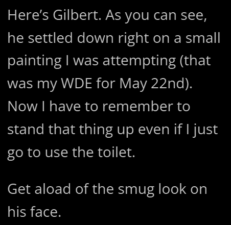 Here's Gilbert. As you can see, he settled down right on a small painting I was attempting (that was my WDE for May 22nd). Now I have to remember to stand that thing up even if I just go to use the toilet. Get aload of the smug look on his face.