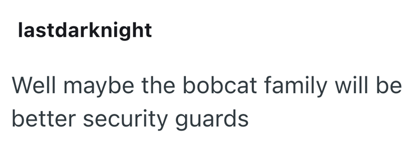 lastdarknight Well maybe the bobcat family will be better security guards