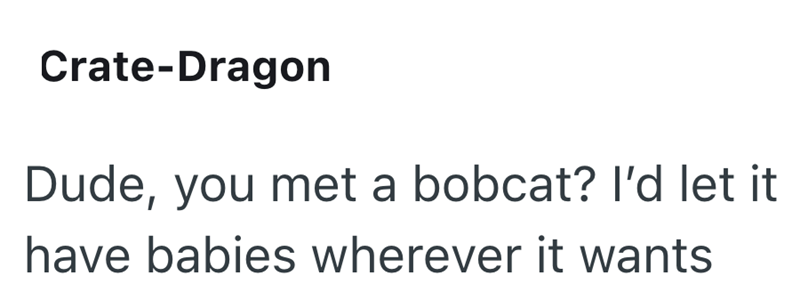 Crate-Dragon Dude, you met a bobcat? I'd let it have babies wherever it wants