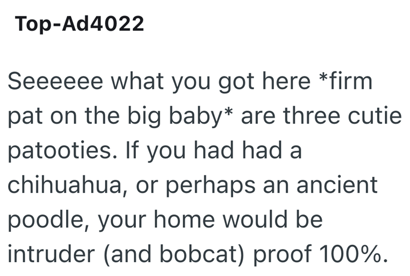 Top-Ad4022 Seeeeee what you got here *firm pat on the big baby* are three cutie patooties. If you had had a chihuahua, or perhaps an ancient poodle, your home would be intruder (and bobcat) proof 100%.