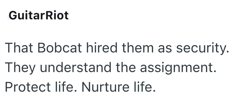 Guitar Riot That Bobcat hired them as security. They understand the assignment. Protect life. Nurture life.