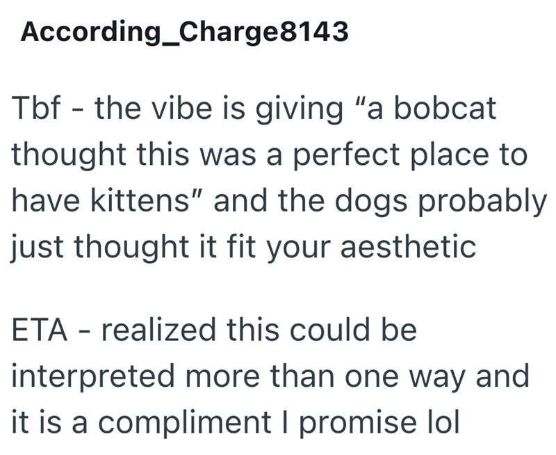 According_Charge8143 Tbf the vibe is giving "a bobcat - thought this was a perfect place to have kittens" and the dogs probably just thought it fit your aesthetic ETA - realized this could be interpreted more than one way and it is a compliment I promise lol