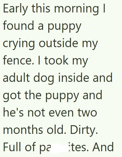 Early this morning I found a puppy crying outside my fence. I took my adult dog inside and got the puppy and he's not even two months old. Dirty. Full of pa tes. And