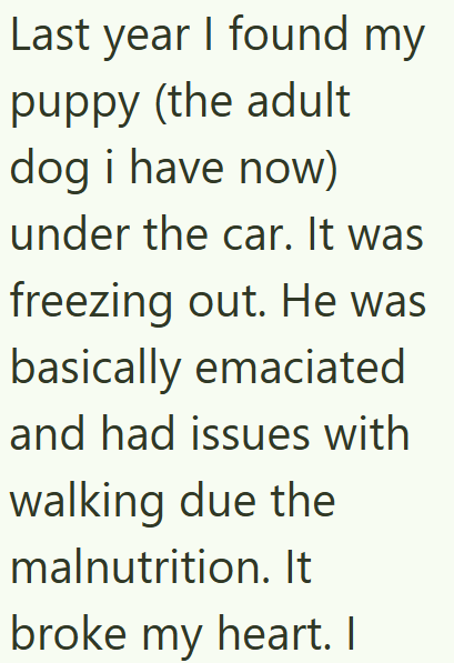 Last year I found my puppy (the adult dog i have now) under the car. It was freezing out. He was basically emaciated and had issues with walking due the malnutrition. It broke my heart. I