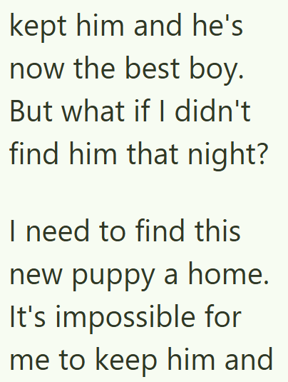 kept him and he's now the best boy. But what if I didn't find him that night? I need to find this new puppy a home. It's impossible for me to keep him and