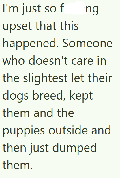 I'm just so f ng upset that this happened. Someone who doesn't care in the slightest let their dogs breed, kept them and the puppies outside and then just dumped them.