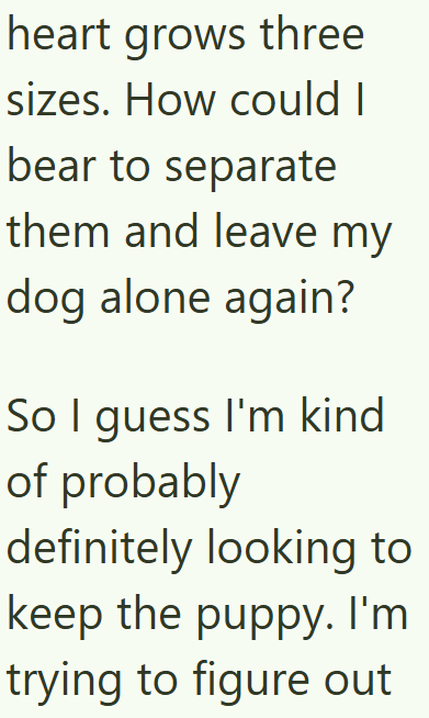 heart grows three sizes. How could I bear to separate them and leave my dog alone again? So I guess I'm kind of probably definitely looking to keep the puppy. I'm trying to figure out