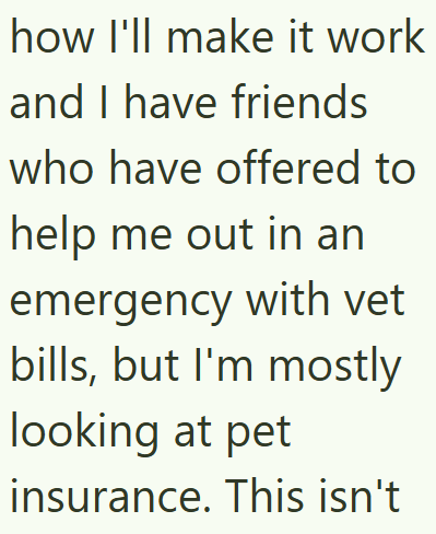 how I'll make it work and I have friends who have offered to help me out in an emergency with vet bills, but I'm mostly looking at pet insurance. This isn't