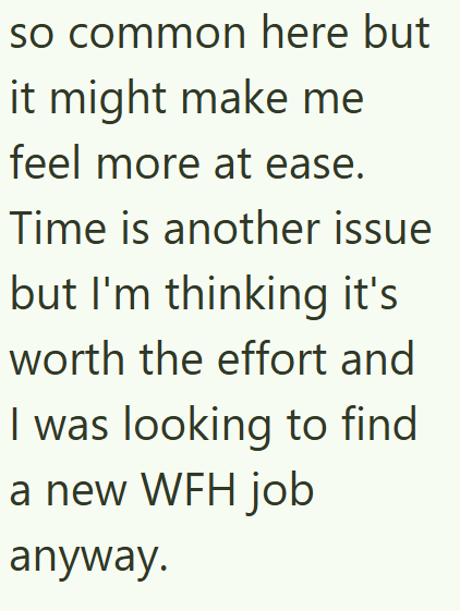 so common here but it might make me feel more at ease. Time is another issue but I'm thinking it's worth the effort and I was looking to find a new WFH job anyway.