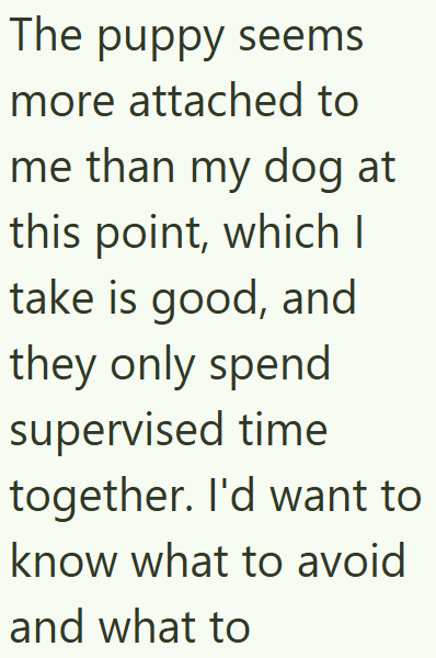 The puppy seems more attached to me than my dog at this point, which I take is good, and they only spend supervised time together. I'd want to know what to avoid and what to