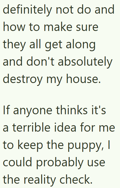 definitely not do and how to make sure they all get along and don't absolutely destroy my house. If anyone thinks it's a terrible idea for me to keep the puppy, I could probably use the reality check.