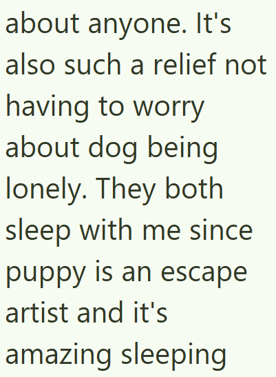 about anyone. It's also such a relief not having to worry about dog being lonely. They both sleep with me since puppy is an escape artist and it's amazing sleeping