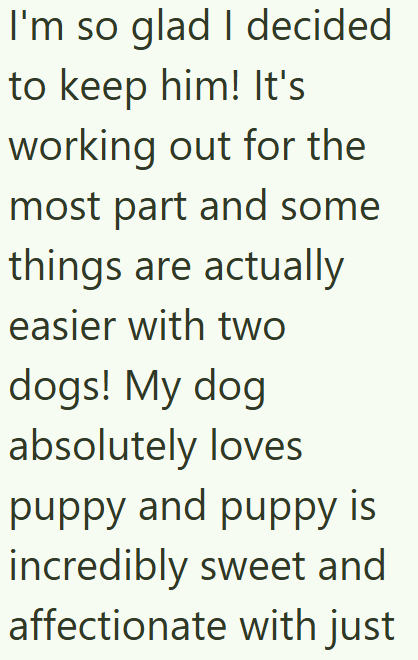 I'm so glad I decided to keep him! It's working out for the most part and some things are actually easier with two dogs! My dog absolutely loves puppy and puppy is incredibly sweet and affectionate with just