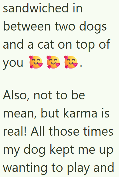sandwiched in between two dogs and a cat on top of you . Also, not to be mean, but karma is real! All those times my dog kept me up wanting to play and