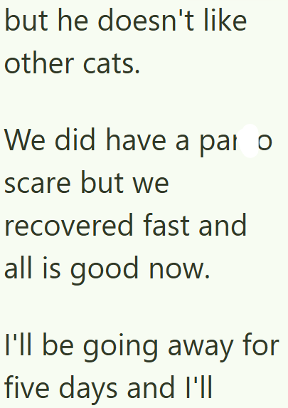 but he doesn't like other cats. We did have a par o scare but we recovered fast and all is good now. I'll be going away for five days and I'll