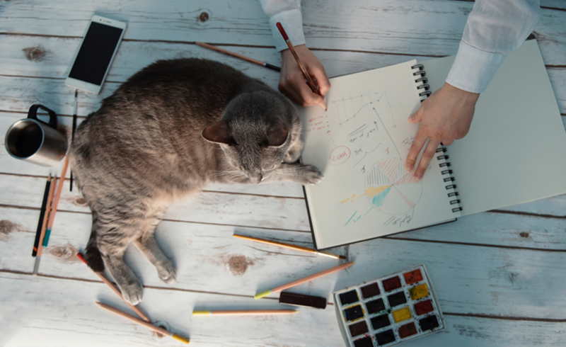 A top shot of an artist planning a sketch in a sketchbook while his cat lies down on the page and interrupts the process for pets, personified by two modeling subjects.