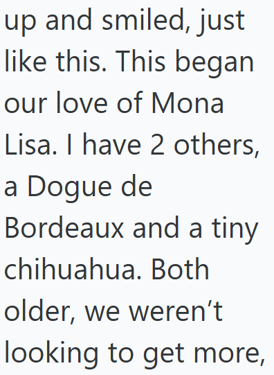 up and smiled, just like this. This began our love of Mona Lisa. I have 2 others, a Dogue de Bordeaux and a tiny chihuahua. Both older, we weren't looking to get more,