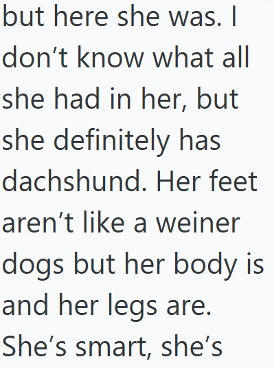 but here she was. I don't know what all she had in her, but she definitely has dachshund. Her feet aren't like a weiner dogs but her body is and her legs are. She's smart, she's