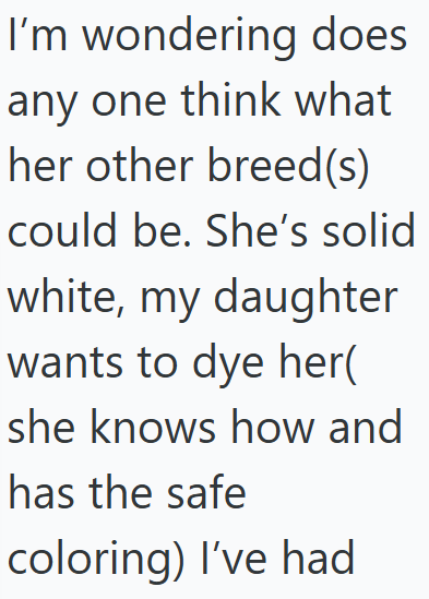I'm wondering does any one think what her other breed(s) could be. She's solid white, my daughter wants to dye her( she knows how and has the safe coloring) I've had
