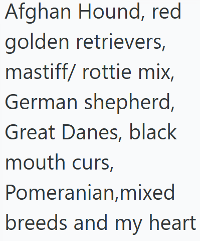 Afghan Hound, red golden retrievers, mastiff/ rottie mix, German shepherd, Great Danes, black mouth curs, Pomeranian,mixed breeds and my heart