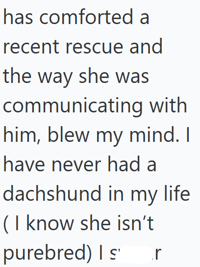 has comforted a recent rescue and the way she was communicating with him, blew my mind. I have never had a dachshund in my life (I know she isn't purebred) I s r