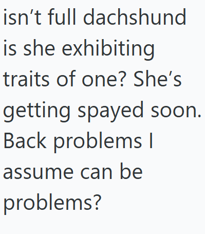 isn't full dachshund is she exhibiting traits of one? She's getting spayed soon. Back problems | assume can be problems?