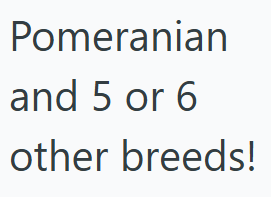 Pomeranian and 5 or 6 other breeds!