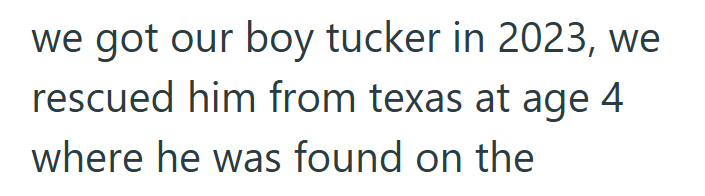 we got our boy tucker in 2023, we rescued him from texas at age 4 where he was found on the