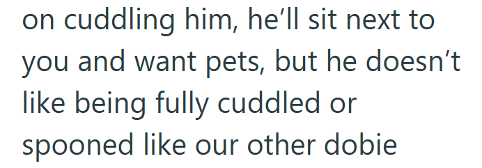 on cuddling him, he'll sit next to you and want pets, but he doesn't like being fully cuddled or spooned like our other dobie