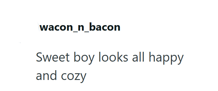wacon_n_bacon Sweet boy looks all happy and cozy