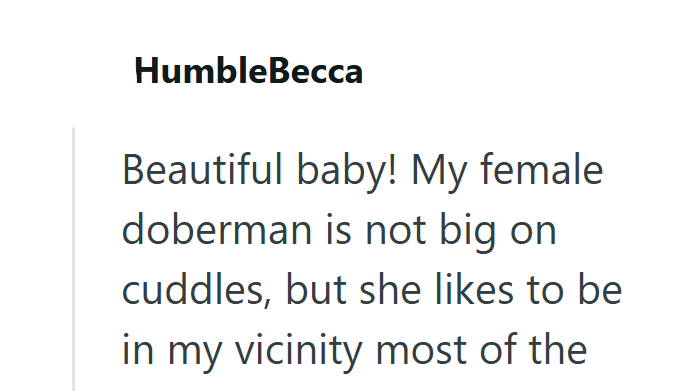 HumbleBecca Beautiful baby! My female doberman is not big on cuddles, but she likes to be in my vicinity most of the