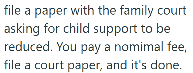 file a paper with the family court asking for child support to be reduced. You pay a nomimal fee, file a court paper, and it's done.