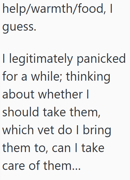 help/warmth/food, I guess. I legitimately panicked for a while; thinking about whether I should take them, which vet do I bring them to, can I take care of them...